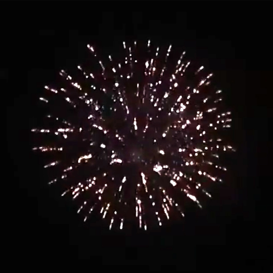 S166/C Flower Wave